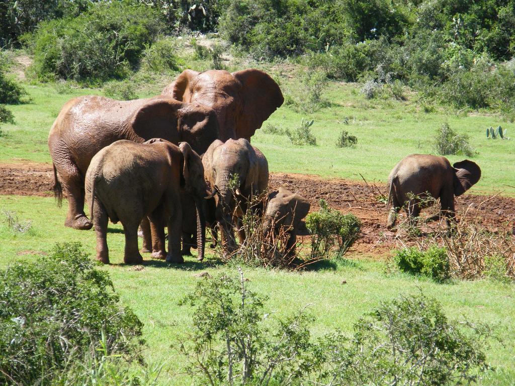 Kudu Ridge Game Lodge アッド エクステリア 写真