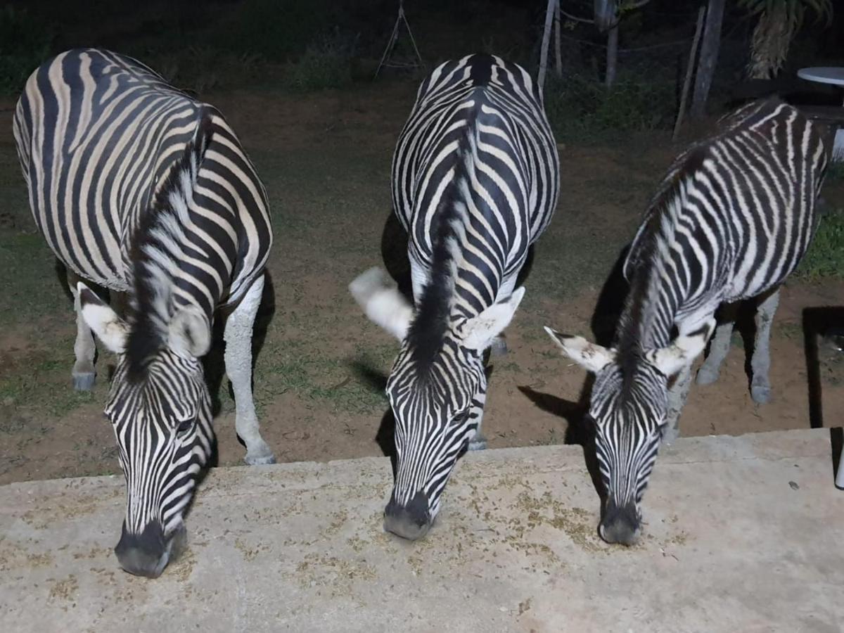 Kudu Ridge Game Lodge アッド エクステリア 写真