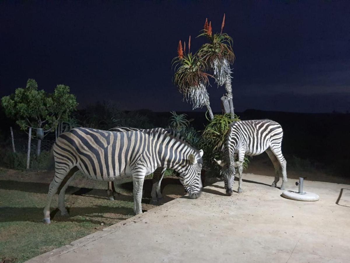 Kudu Ridge Game Lodge アッド エクステリア 写真