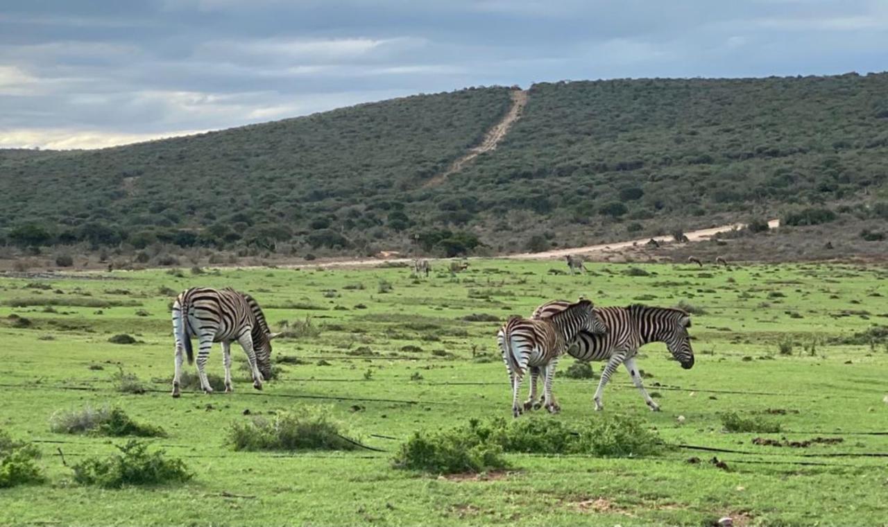 Kudu Ridge Game Lodge アッド エクステリア 写真