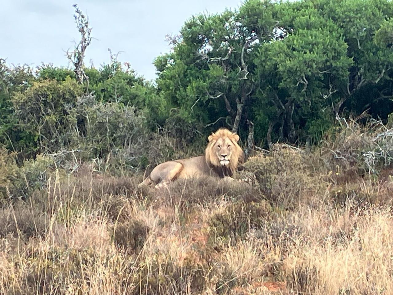 Kudu Ridge Game Lodge アッド エクステリア 写真