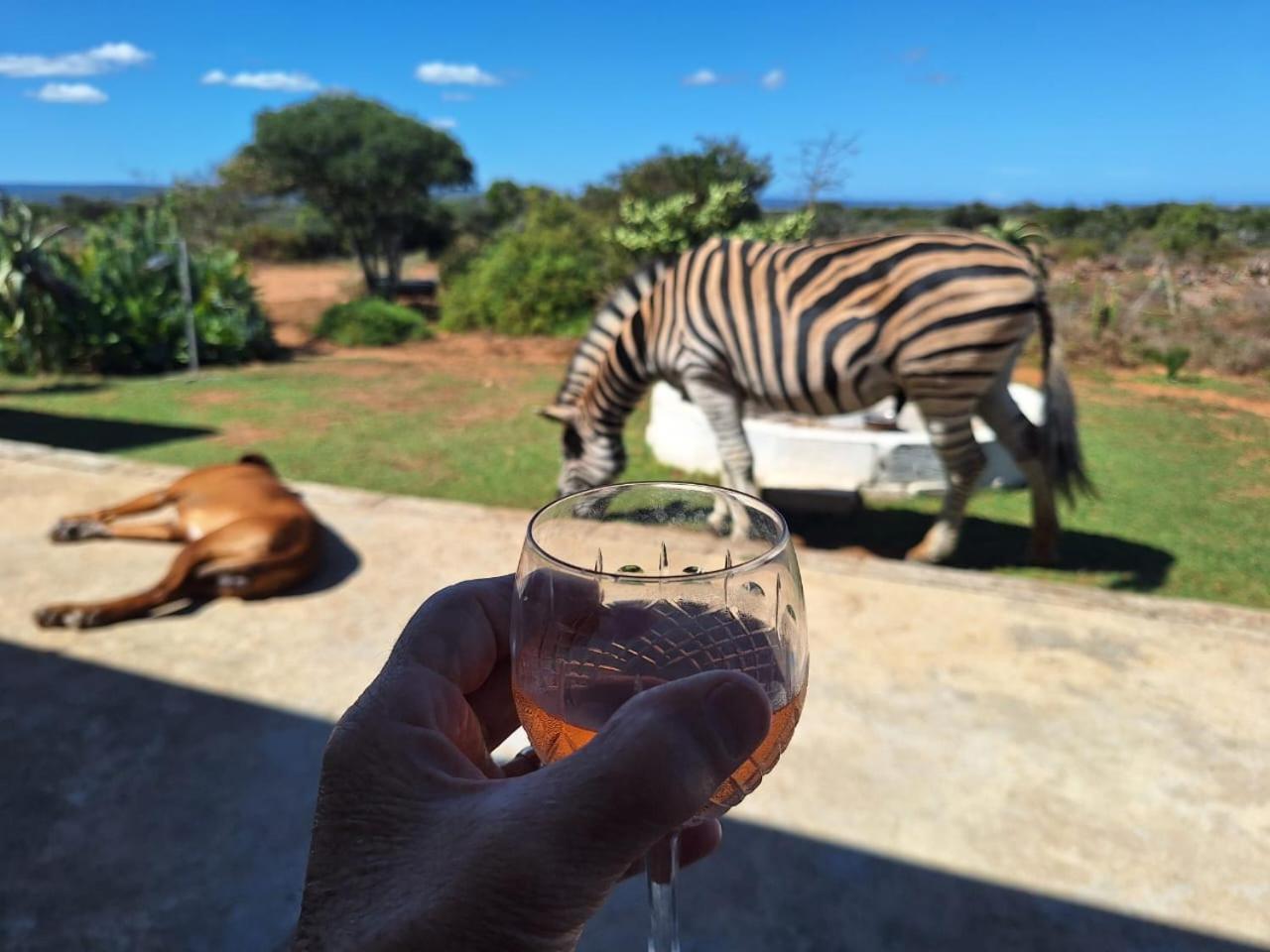 Kudu Ridge Game Lodge アッド エクステリア 写真