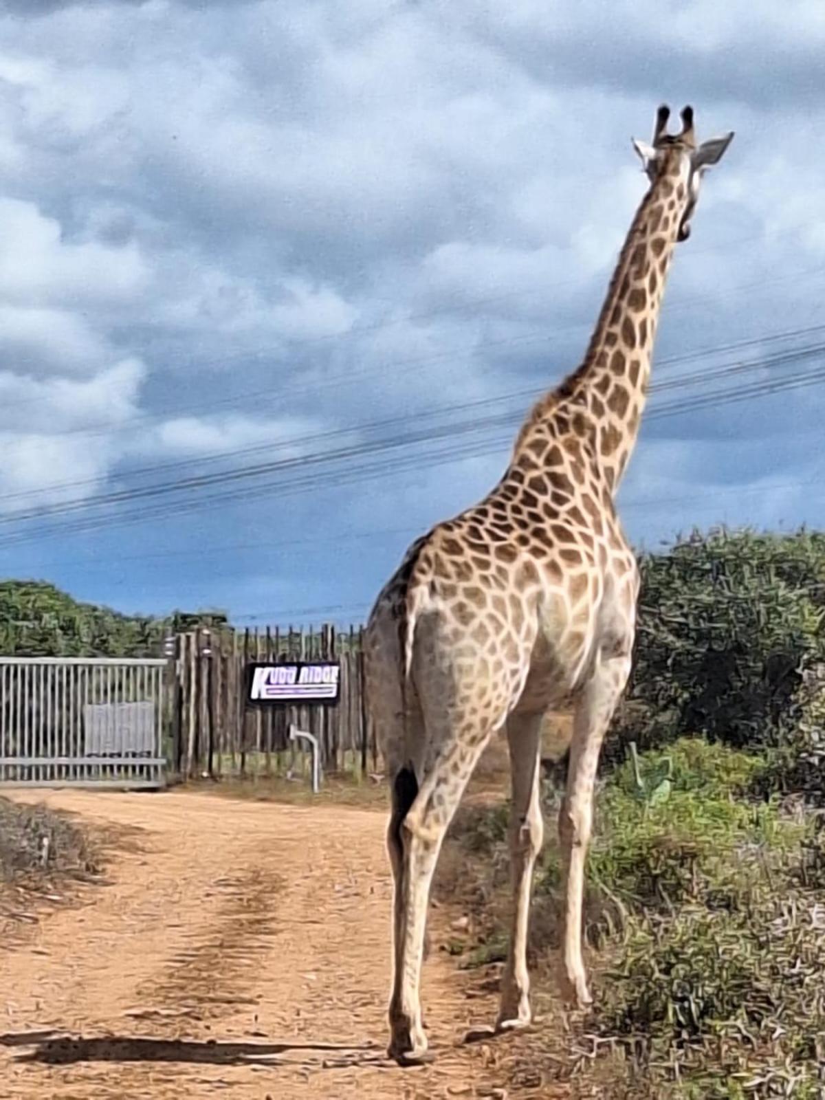 Kudu Ridge Game Lodge アッド エクステリア 写真