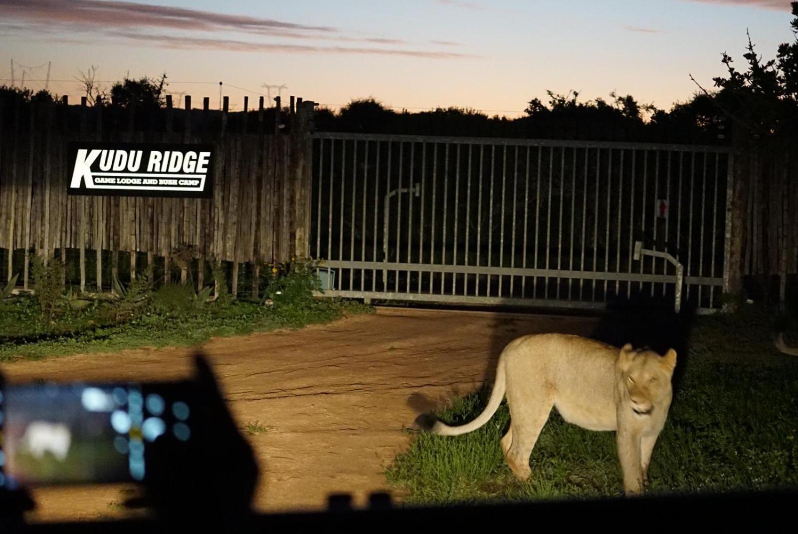Kudu Ridge Game Lodge アッド エクステリア 写真