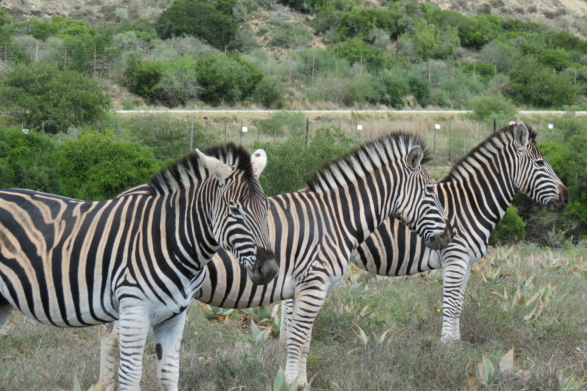 Kudu Ridge Game Lodge アッド エクステリア 写真